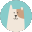 www.lazaralexandru.work favicon